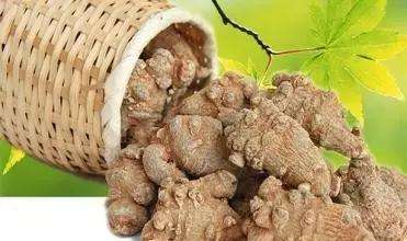 三七打粉機超細(xì)研磨機哪個牌子好？