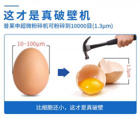 大型超微破壁粉碎機(jī)，為何要選普萊申？